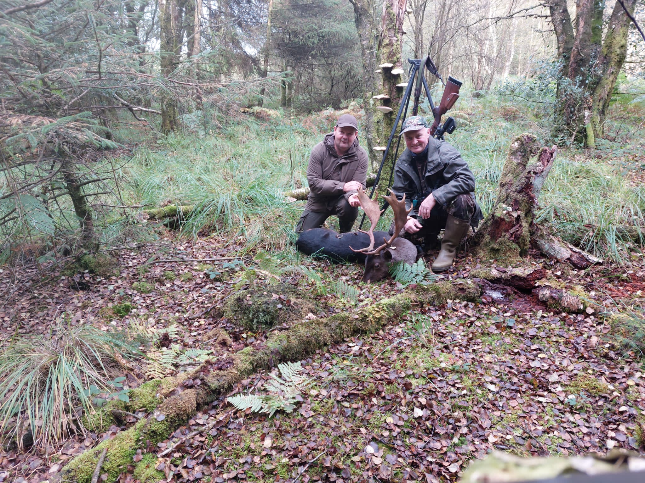 Jagd in Irland mit Viper-Flex Pirschstock im Gelände