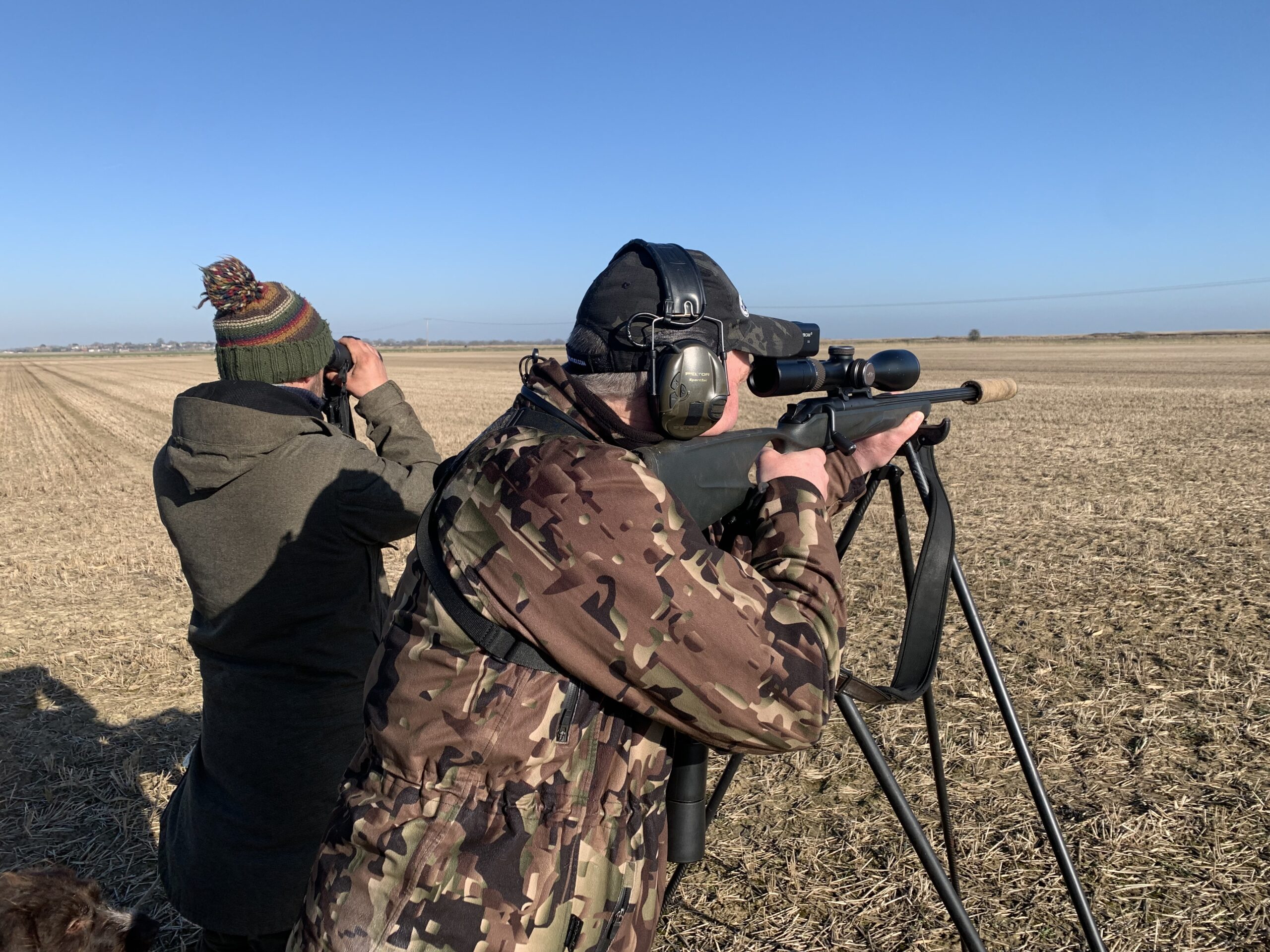 Pirschjagd in England mit Viper-Flex Pirschstock